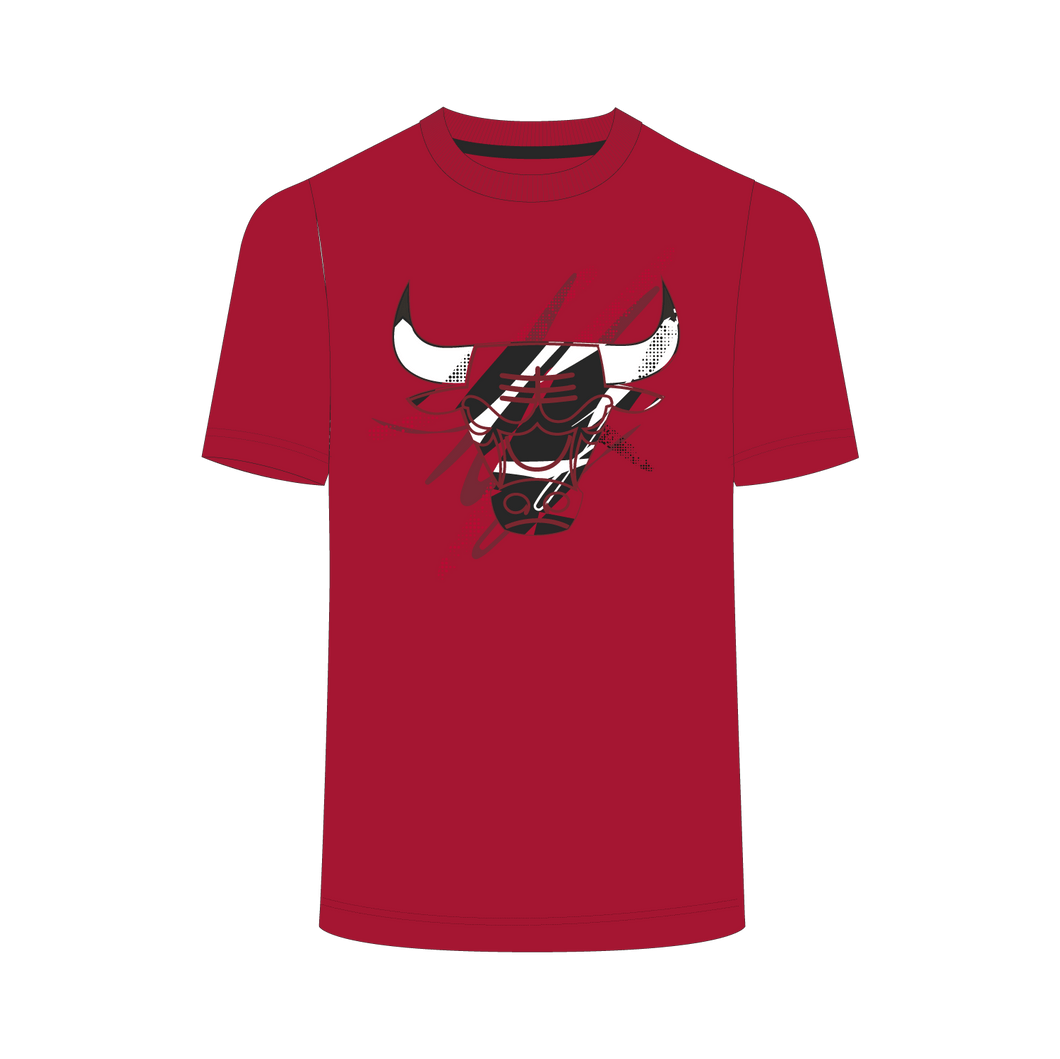 FEXPRO - T-SHIRT NBA DISTRESSED PRIMARY TEAM LOGO